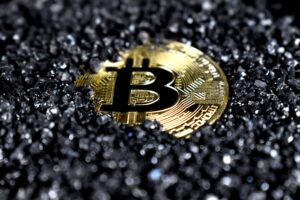 Crypto Backed Loans