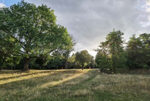 Bridging Loans in Wandsworth Common