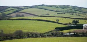 Land Bridging Loans